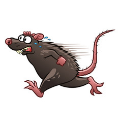 Featured image of post Rat Running Vector : Polish your personal project or design with these rat transparent png images, make it even more personalized and more attractive.