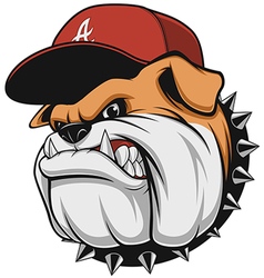 Ferocious bulldog head Royalty Free Vector Image