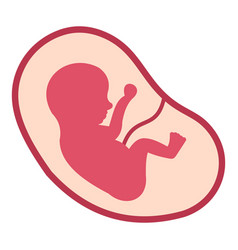 Placenta Vector Images (over 340)