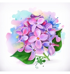 Lilac Vector Images (over 19,000)