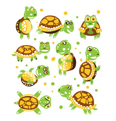 Cartoon funny turtle set for label design Vector Image