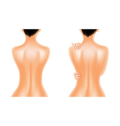 Woman body Royalty Free Vector Image - VectorStock