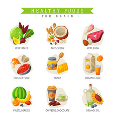 Healthy food Royalty Free Vector Image - VectorStock