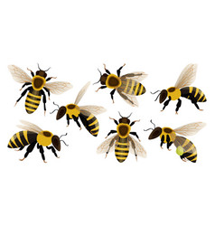 Honeybee Vector Images (over 7,700)