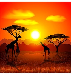 African ethnic background on evening savanna Vector Image