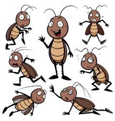 Cockroach dead Royalty Free Vector Image - VectorStock