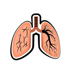 Breath Lung Sketch Vector Images 97