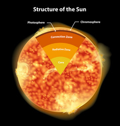 Diagram showing structure sun Royalty Free Vector Image