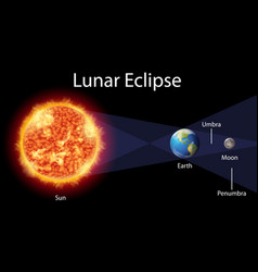 Diagram showing phases moon on earth Royalty Free Vector