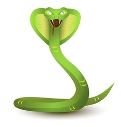 Angry cobra cartoon Royalty Free Vector Image - VectorStock