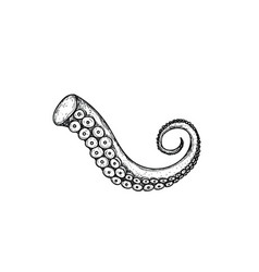 tentacle vector images over