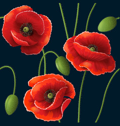 Black Poppy Vector Images Over 2 100