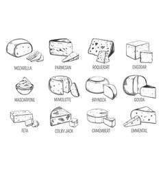 Cheese Types Icons Set Royalty Free Vector Image