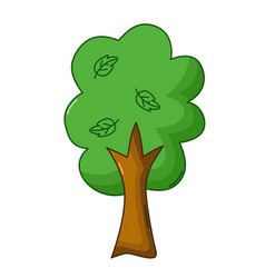 Spruce tree icon cartoon style Royalty Free Vector Image