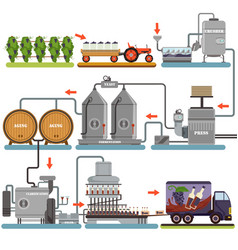 Wine production process stages production Vector Image