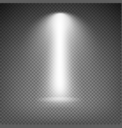 Light effect on transparent background template Vector Image
