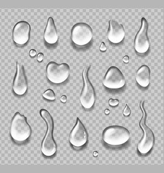 Realistic water drops 3d transparent condensation Vector Image