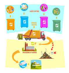 Flat infographic showing waste recycling Vector Image