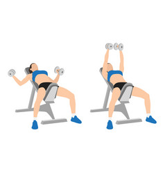 Woman doing incline dumbbell bench press exercise Vector Image