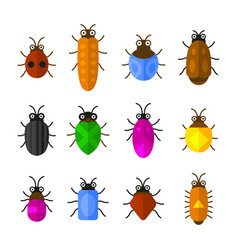 Cute insects bugs creatures bee and ladybug vector image