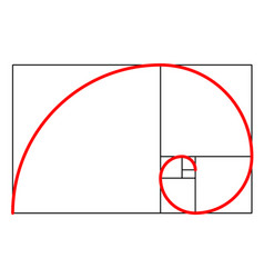 Golden ratio template golden spiral divine Vector Image