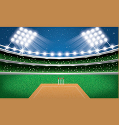 Cricket Stadium Lights Vector Images (over 230)