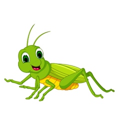 Praying mantis grasshopper cartoon Royalty Free Vector Image