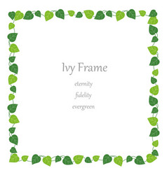 border ivy vector images over 160