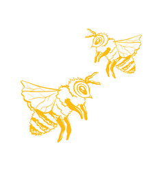 Yellow outline sketch of honey bee Royalty Free Vector Image