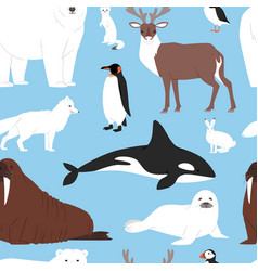 Arctic animals cartoon polar bear or Royalty Free Vector