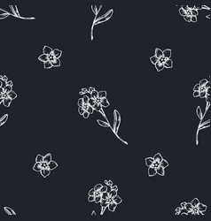 Forget Me Not Sketch Vector Images Over 180