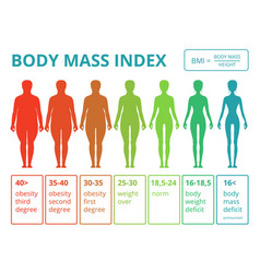 Female body mass index normal weight obesity and Vector Image