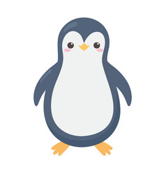 Cute penguin face cartoon character on white Vector Image