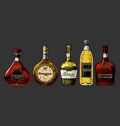 Types Brandy Royalty Free Vector Image Vectorstock Types Brandy Royalty Free Vector Image Vectorstock