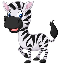 Cartoon funny zebra posing isolated on white backg