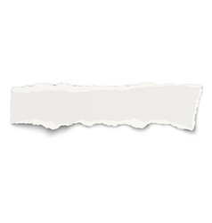 White paper tear placed on white Royalty Free Vector Image