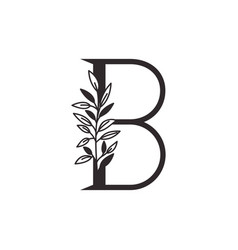 Letter b alphabet with vintage style frame Vector Image
