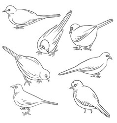 Drawing sitting bird Royalty Free Vector Image