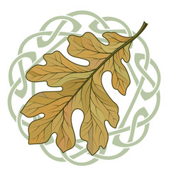 Tattoo Oak Leaf Vector Images Over 190