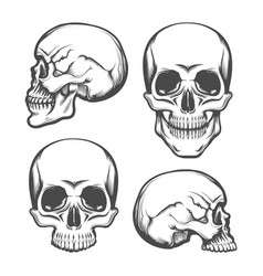 Skull Front Facing Vector Images (over 790)