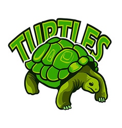 Turtle & Logo Vector Images (over 1,600)