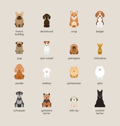 Dog Breeds Set Small And Medium Size Royalty Free Vector