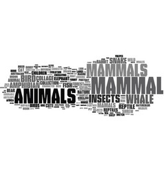 Mammal Vector Images (over 240,000)