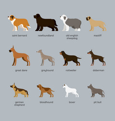 Old English Sheepdog Cartoon Vector Images 24