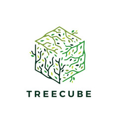 Leaf box cube cardboard logo Royalty Free Vector Image