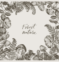 Botanical Fern Drawing Vector Images Over 2 900