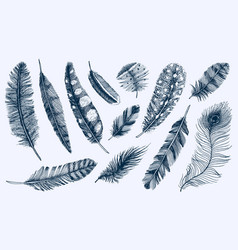 Feathers realistic set Royalty Free Vector Image