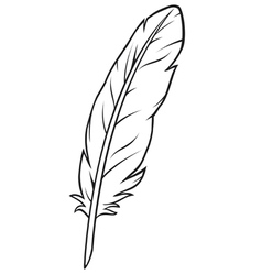 Feather Royalty Free Vector Image - VectorStock