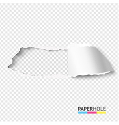 Newspaper Blank Background Vector Images Over 6 800