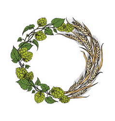 Wreath with hops and wheat floral composition Vector Image